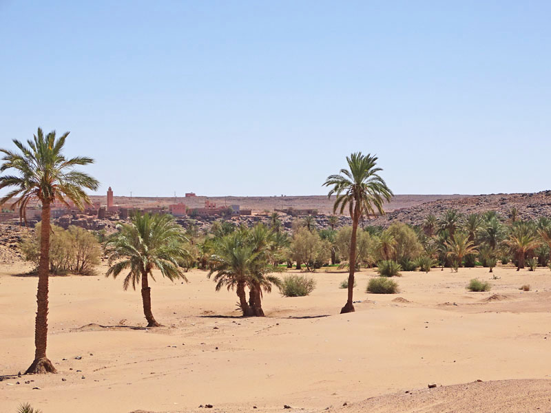 Séjour au Maroc : Découvrez le désert marocain avec Vacances Désert